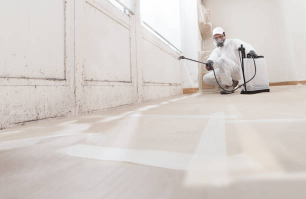 24/7 Emergency Mold Remediation experts in Marlboro, NJ
